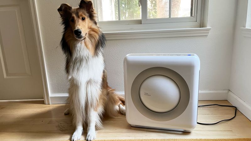 10 best air purifiers for pet hair of 2024 according to experts CNN Underscored