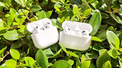 Airpods 4 and Airpods Pro 2 with greenery background.