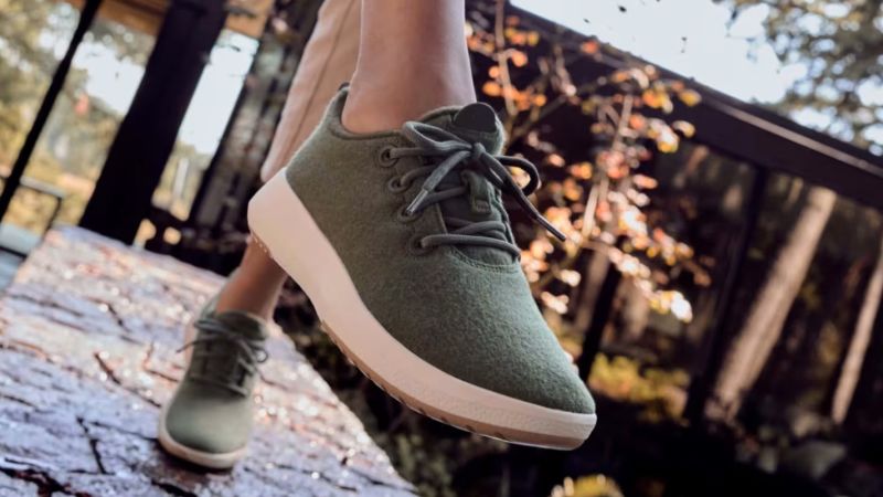 Allbirds walmart hot sale