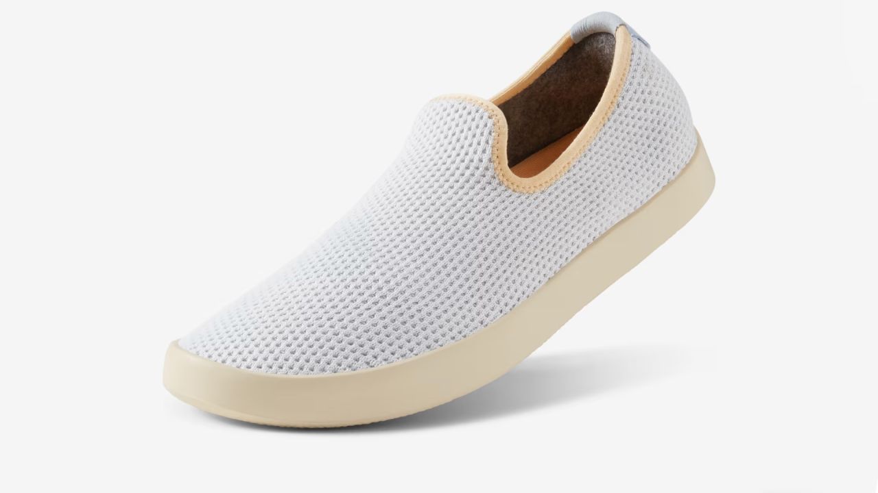 Allbirds Tree Loungers.jpg