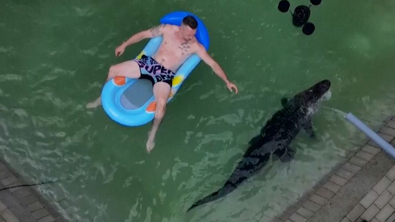 Meet the man who swims with his family’s pet alligator