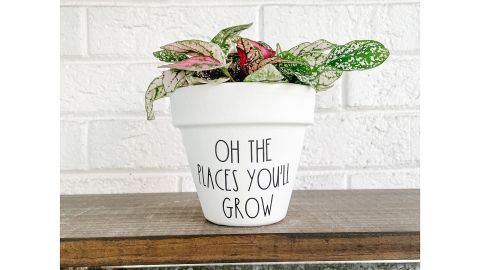 AloneThymeDesigns Oh The Places You'll Grow Plant Pot