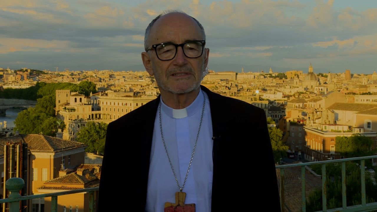 aman cardinal.jpg