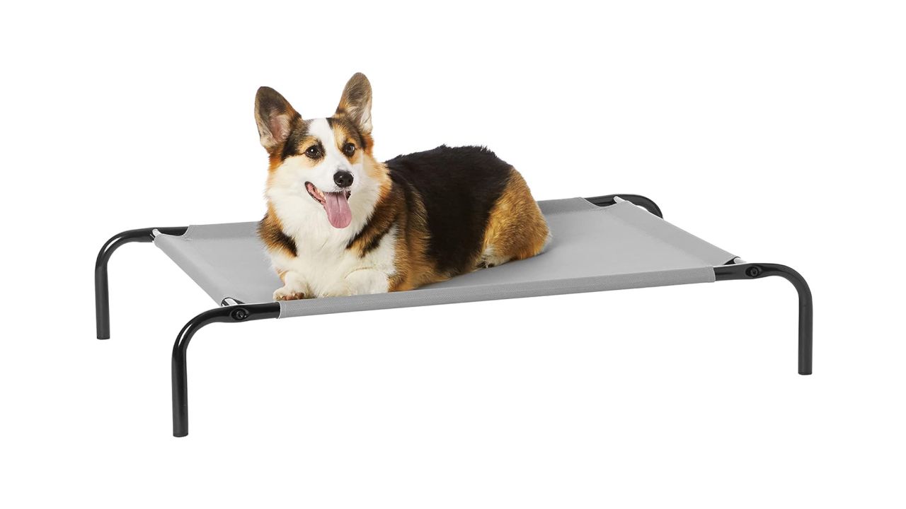 Amazon Basics Cooling Elevated Dog Bed with Metal Frame product card cnnu.jpg