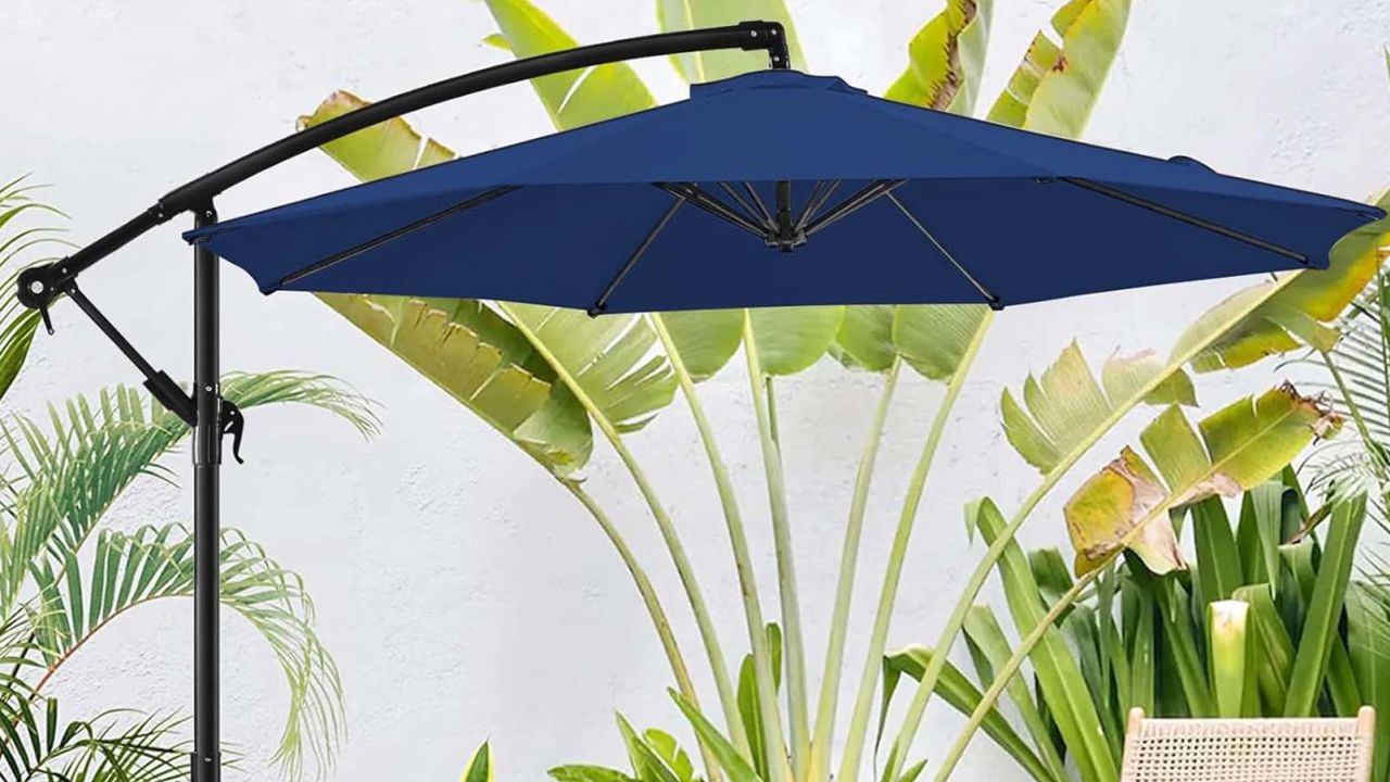 Amazon BLUU Umbrella.jpg