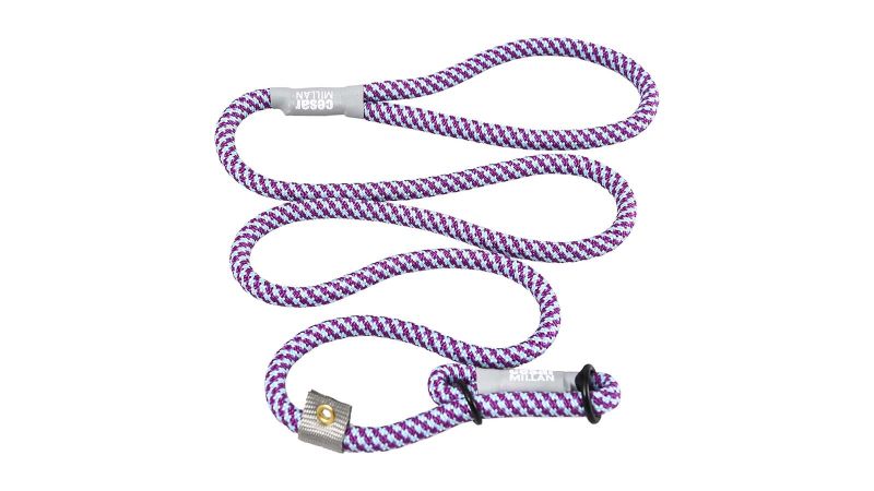 Cesar millan dog clearance harness