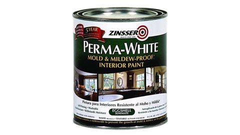 Amazon Rust-Oleum Interior Paint.jpg