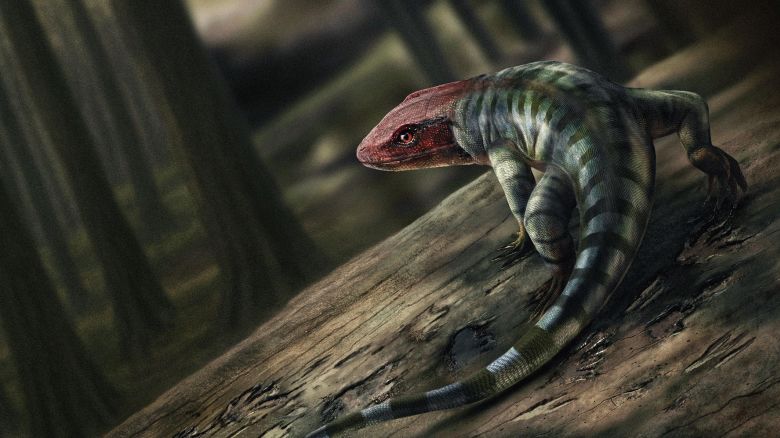 An impression of what the Amniote(early reptile) would look like from 350 million years ago.