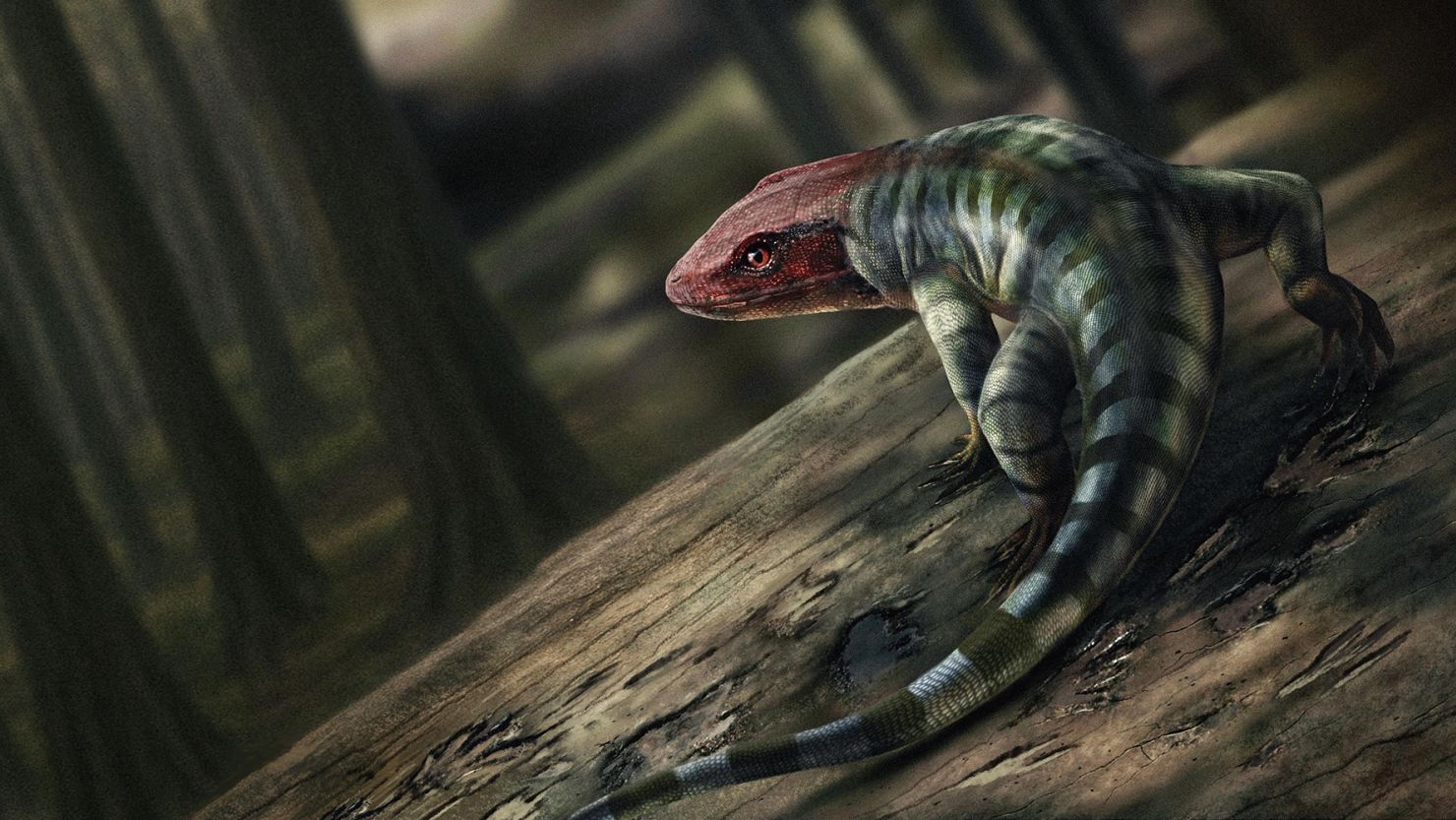 An artist's illustration depicts what the primitive reptile may have looked like 356 million years ago.