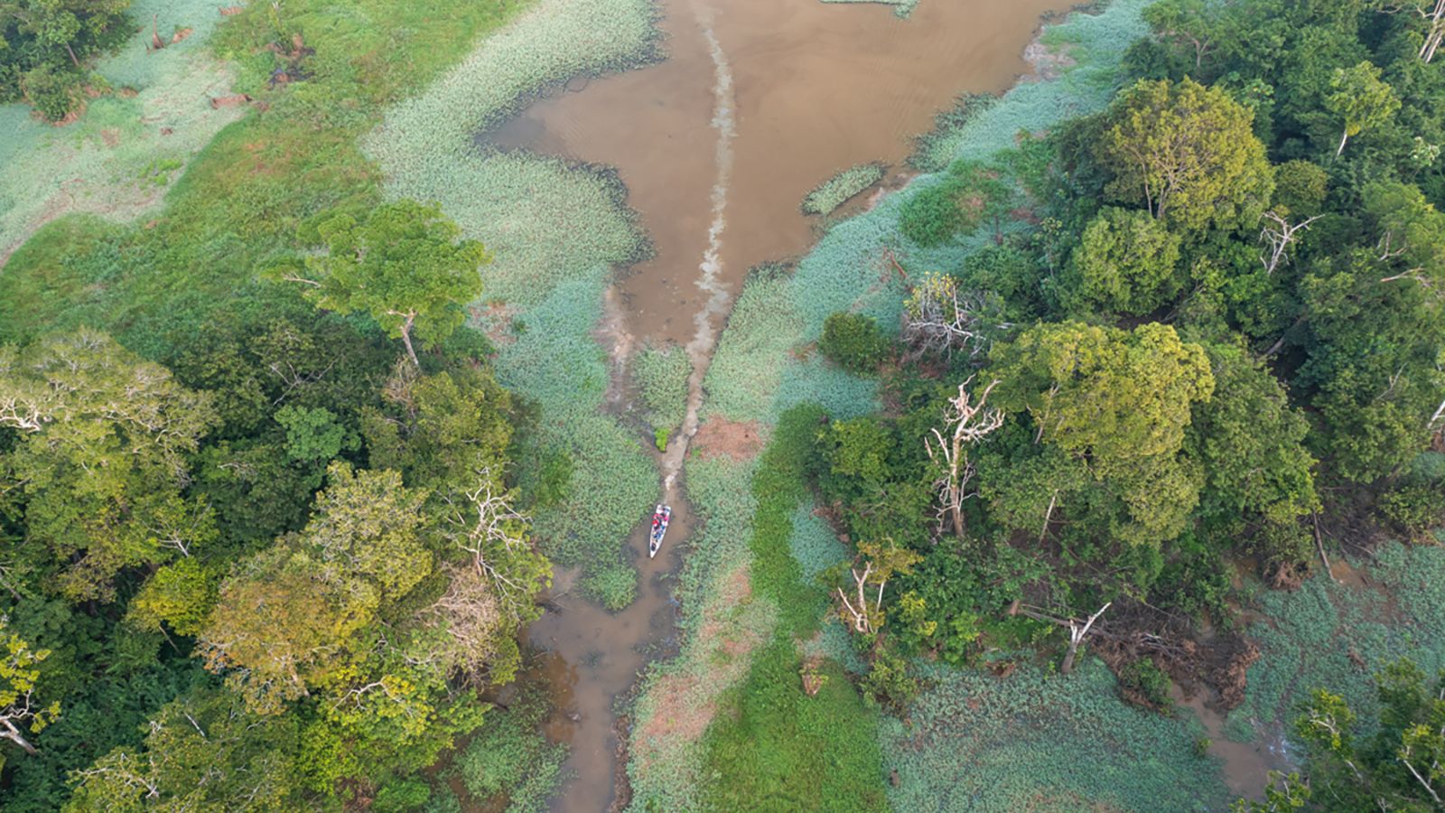 An aerial view of an Amazonian floodplain in the morning, in Carauari, Brazil in September 2022.