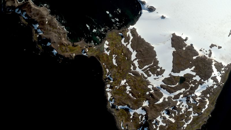              Parts of icy Antarctica are turning green with plant life at an alarming rate as the region is gripped by extreme heat events, according 