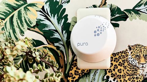 Anthropologie x Pura Smart Fragrance Diffuser Starter Ki