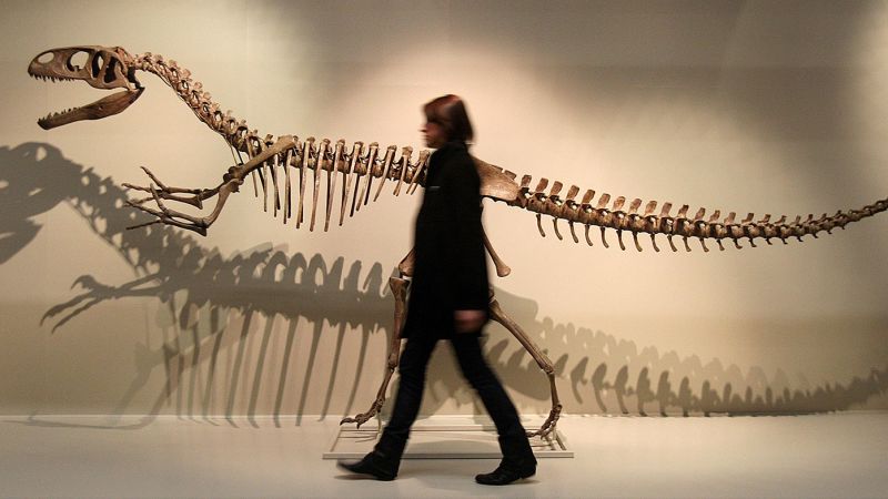 Мегалозавър, вкаменелостта, която представи динозаврите на света