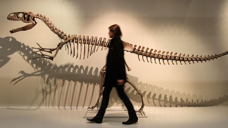 الميجالوصور، الحفرية التي أدخلت الديناصورات إلى العالم