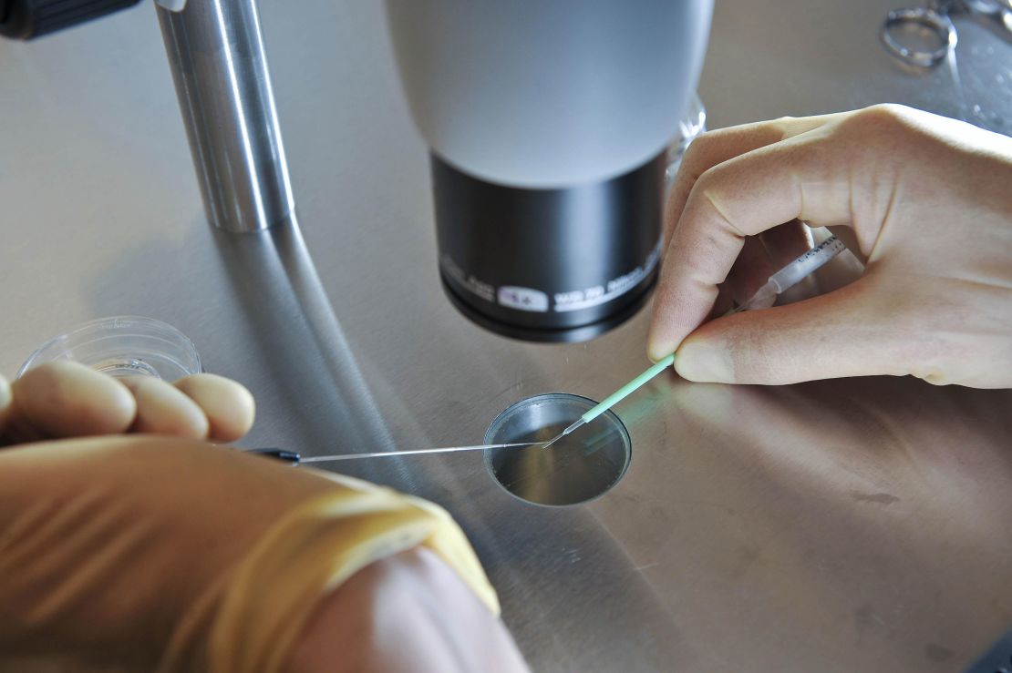 File photo dated 11/08/08 of embryos being placed onto a CryoLeaf ready for instant freezing using a vitrification process for IVF.