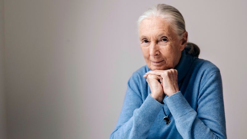 Conservationist Jane Goodall, whose work revolutionized the study of primates, has died | CNN