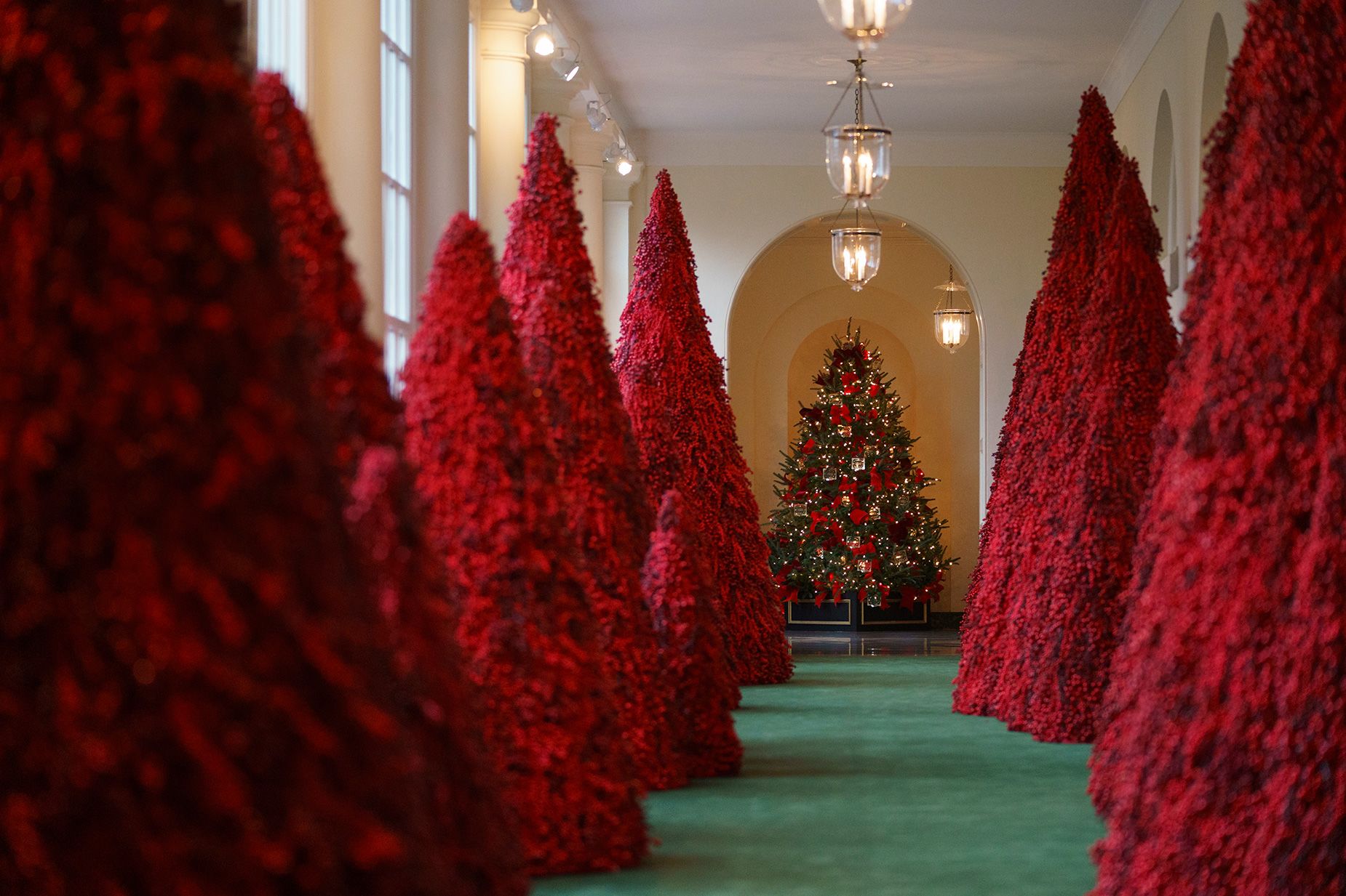 <strong>2018</strong>: Melania Trump's cranberry topiary trees, pictured here in the East Colonnade, were scrutinized online.