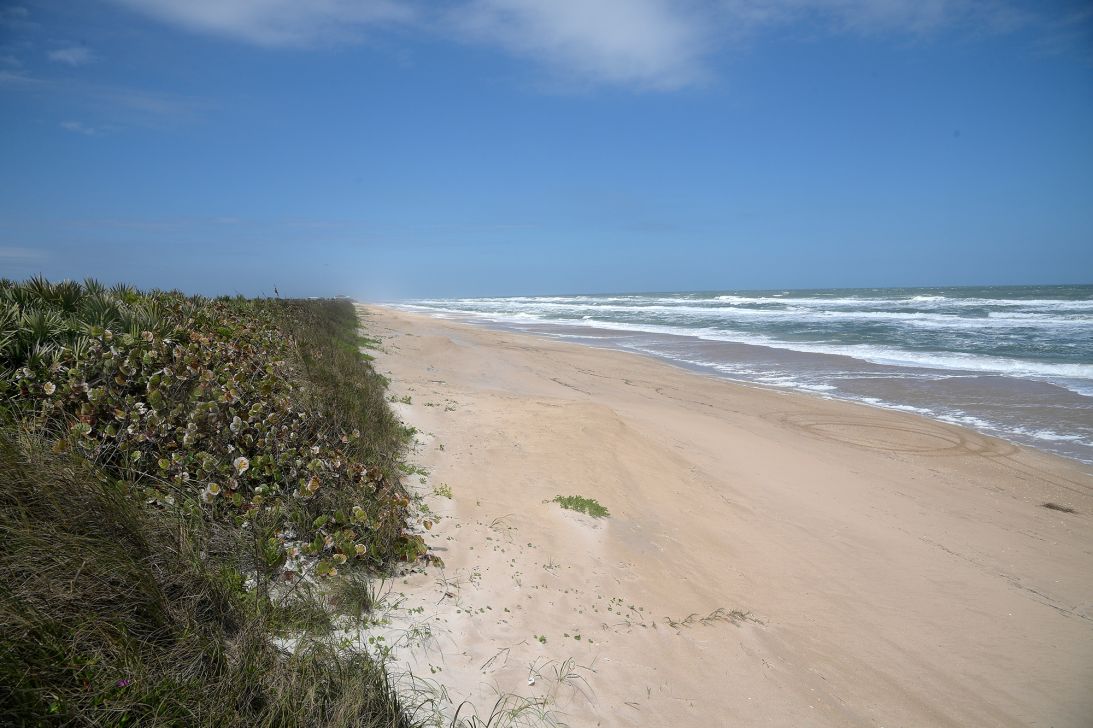 The sandy shores of Apollo Beach at the Canaveral National Seashore are among the last stretches of wild beach left on Florida's Atlantic coast. One section of the beach is clothing optional.