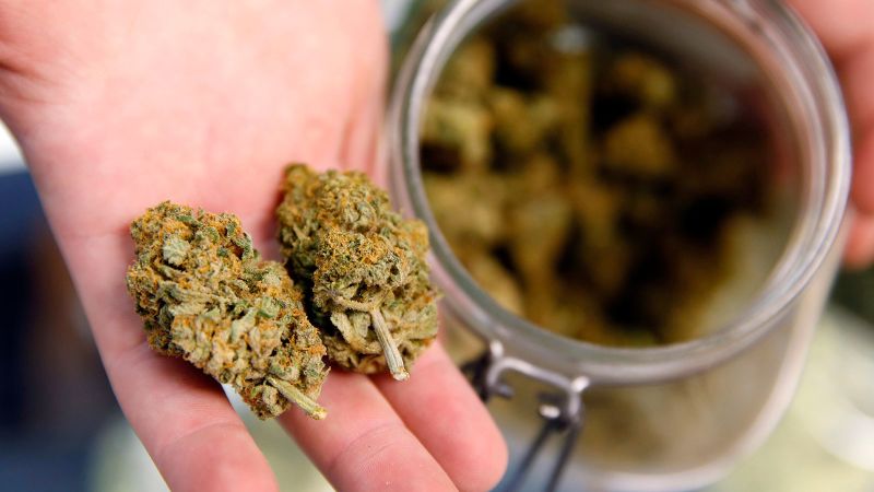 Using marijuana during pregnancy may heighten risk for baby