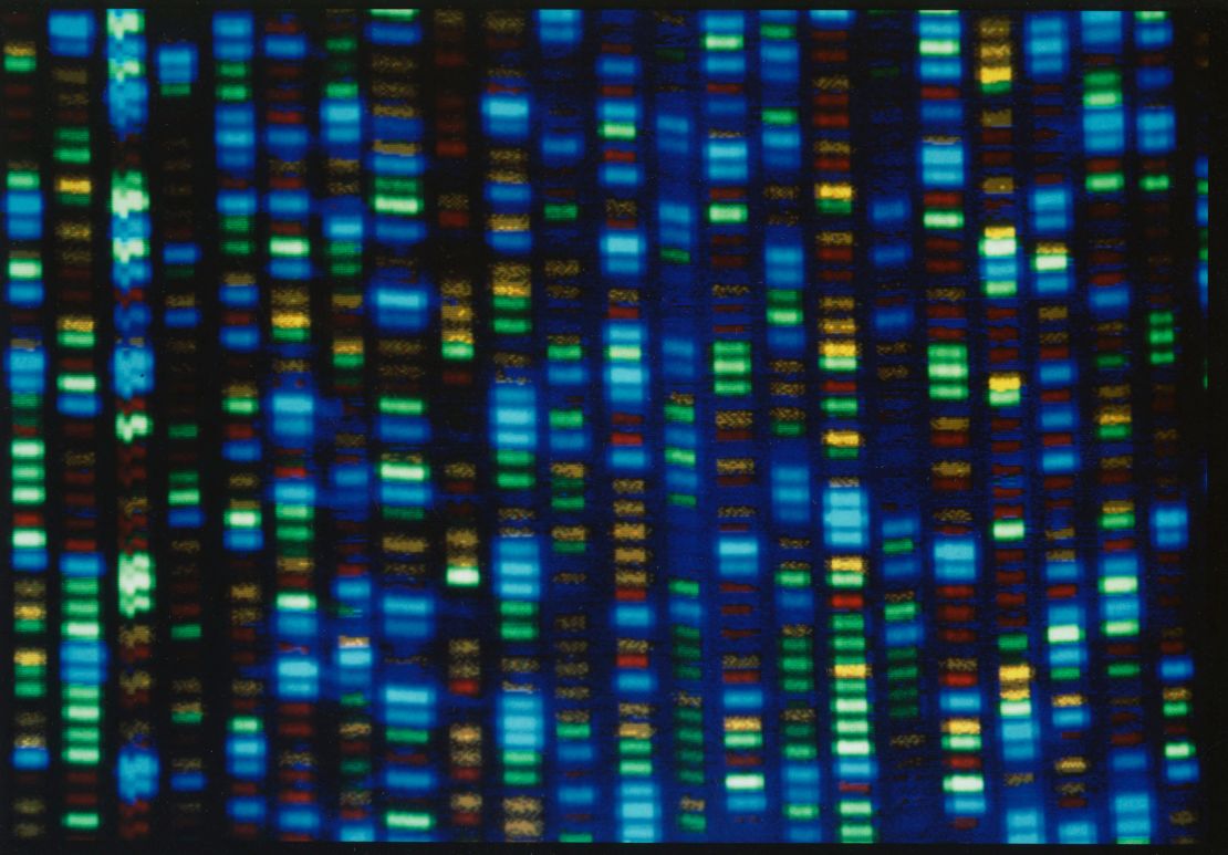 The mapping of the human genome has had a huge impact on biology and other fields. The output from a DNA sequencer is shown in this undated image from the National Human Genome Research Institute.