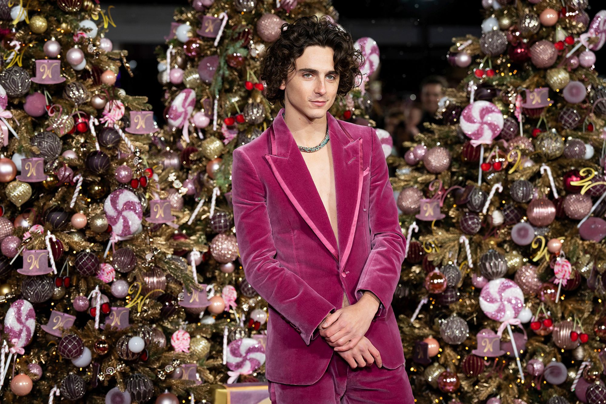 Timothée Chalamet opted for his favorite fashion formula at the "Wonka" world premiere last night.