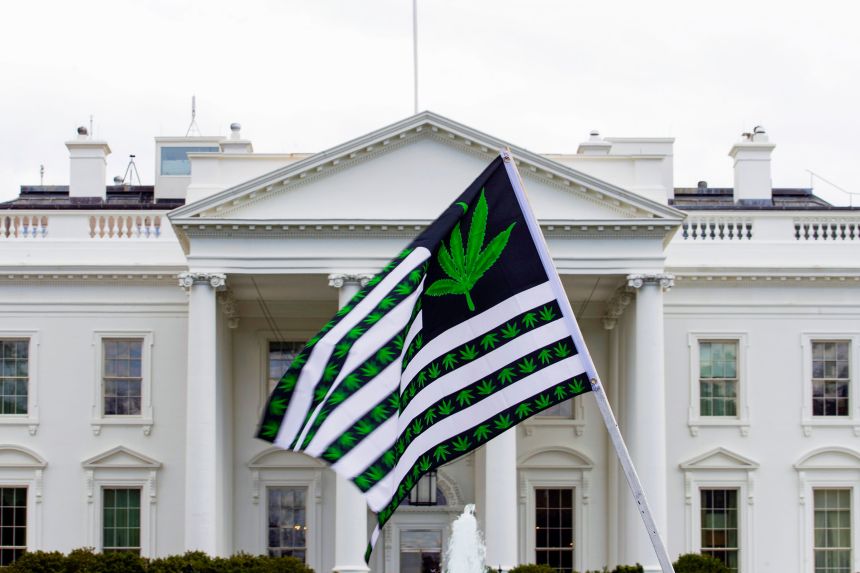 A demonstrator waves a marijuana leaf flag during a protest calling for the legalization of marijuana, outside of the White House, in April 2016.