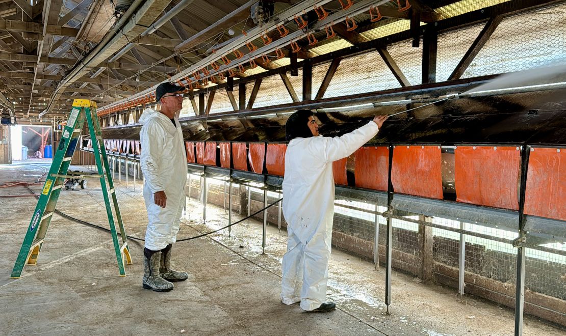 Mike Weber watches an employee clean a hen house at his egg farm in Petaluma, California, in January. Weber's company had to euthanize 550,000 chickens after avian flu was detected among the flock.