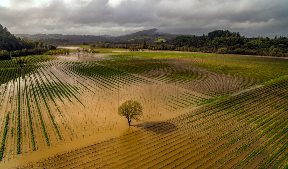 A vineyard is submerged in floodwaters in Sonoma County, California, on February 19, 2024.