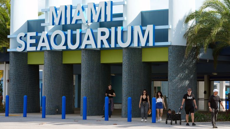 Visitors exit the Miami Seaquarium, Thursday, March 7, 2024, in Key Biscayne, Fla. The Miami Seaquarium, an old-Florida style tourist attraction that was home to Lolita, the beloved Orca that died last year, is being evicted from the waterfront property it leases from Miami-Dade County. (AP Photo/Marta Lavandier)