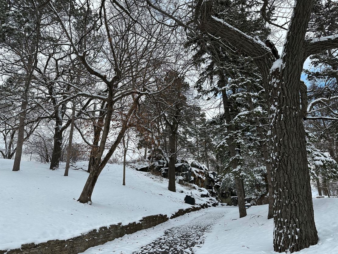 Snow clings to the trees along a walking path at Como Lake in St. Paul, Minnesota on March 22, 2024.