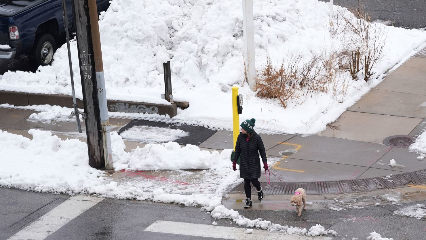 A pedestrian with a dog crosses the street near a large pile of snow Monday in Minneapolis.