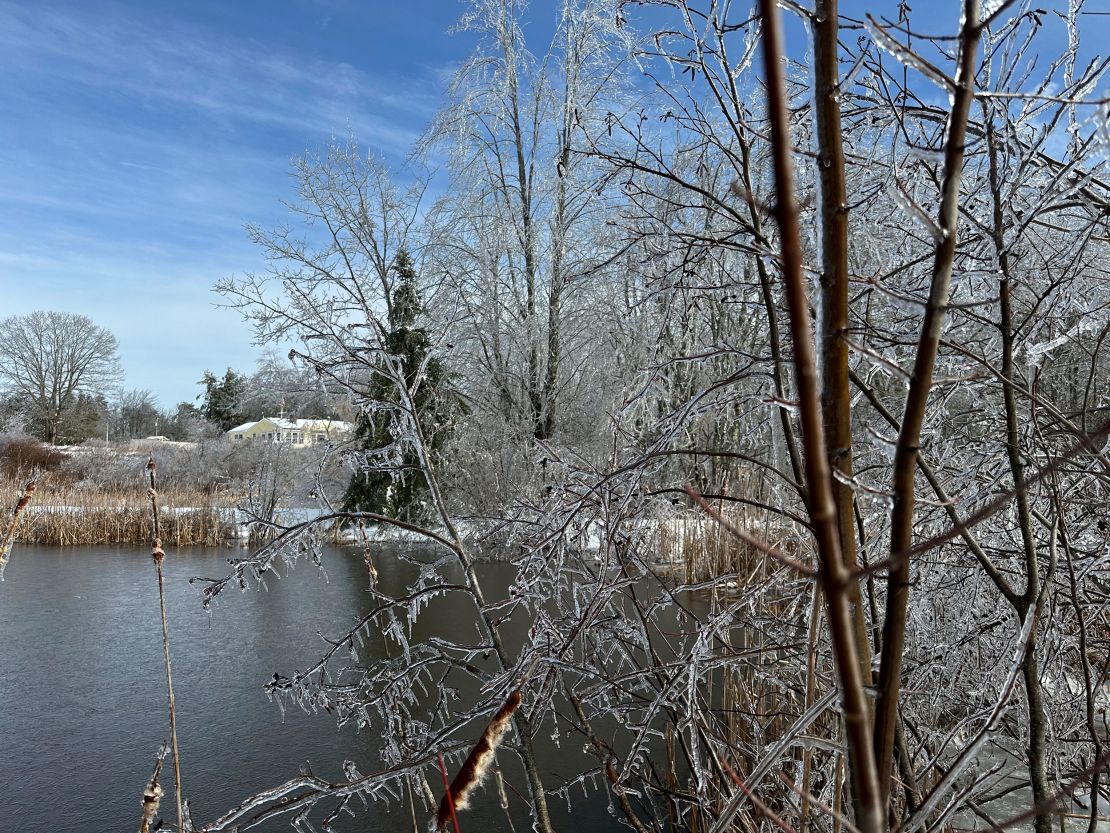 Ice clings to a tree in Falmouth, Maine, on Sunday.