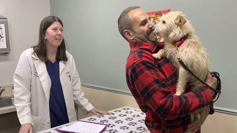 A happy reunion after a dog missing in San Diego turns up in Michigan