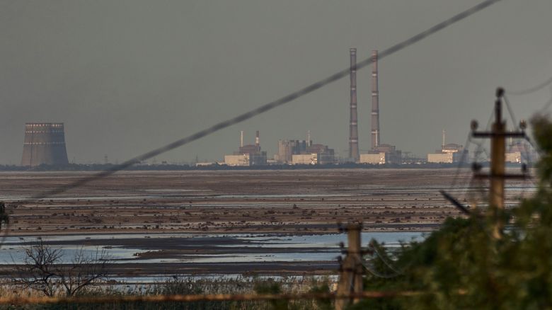 A 2023 file photo of Zaporizhzhia nuclear power plant, Europe's largest, as seen in the background of the shallow Kakhovka Reservoir after the dam collapse, in Energodar, Russian-occupied Ukraine.