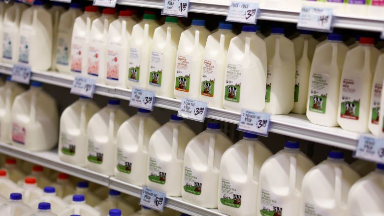 Rows of milk jugs in a grocery store shelf. 