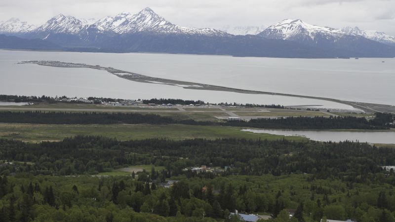 Moose kills Alaska man attempting to take photos of her newborn calves