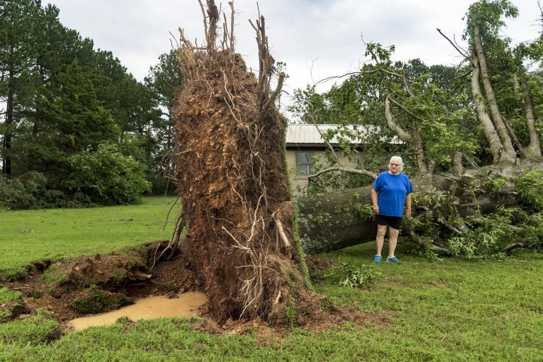 Betty Wood stands next to a downed 50-foot-tree on her property on Sunday, May 26, 2024, in Rogers, Arkansas.