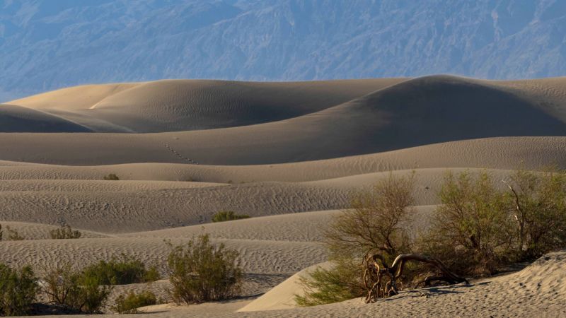 Death Valley National Park has its hottest summer on record