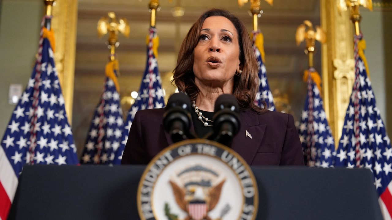 Vice President Kamala Harris speaks following a meeting with Israeli Prime Minister Benjamin Netanyahu at the Eisenhower Executive Office Building on the White House complex in Washington, Thursday, July 25, 2024. (AP Photo/Julia Nikhinson)