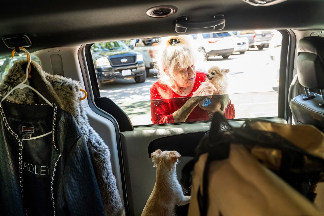 Sherry Alpers checks on her dogs at a center for Park Fire evacuees in Chico, California, on Friday.