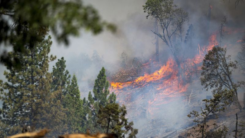 Historic Mining Communities Ravaged by California Wildfires: Havilah and Piute Meadows in Kern County, and Butte and Tehama Counties