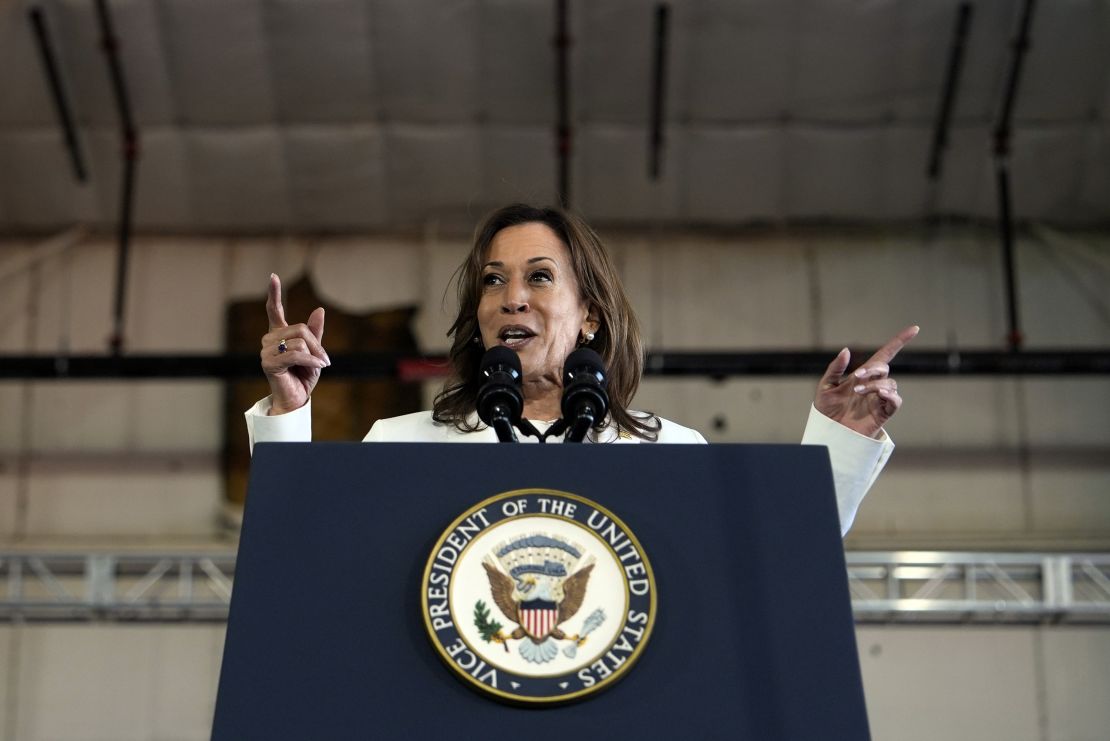 Harris speaks at the campaign rally at Detroit Metropolitan Airport on August 7, 2024.