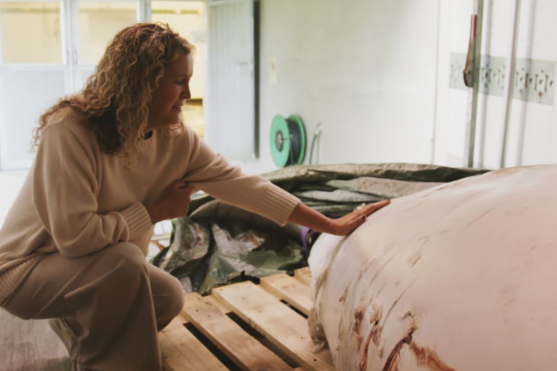 This photo provided by OneWhale.org on September 4, shows manager Regina Haug next to the carcass of the beluga whale Hvaldimir, who was found dead on August 31.