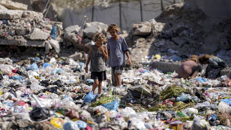 Gaza’s humanitarian crisis hits new lows as sanitary conditions plummet