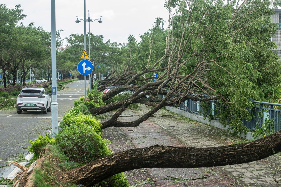 Trees lie uprooted on a street as typhoon Yagi brings strong wind in Qionghai, Hainan Province of China on September 7, 2024.