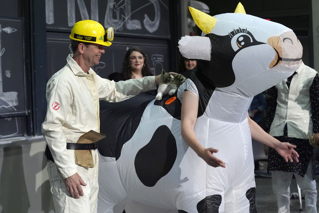 A performer demonstrates an experiment in which a paper bag explodes next to a cat standing on the back of a cow to study how and when cows spit out their milk.