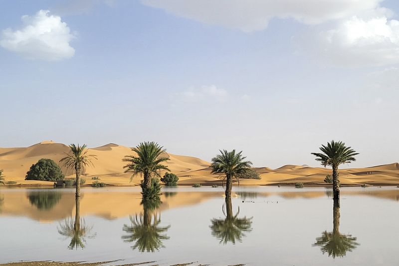 The Sahara Desert Flooded For The First Time In Decades. Here’s What It ...