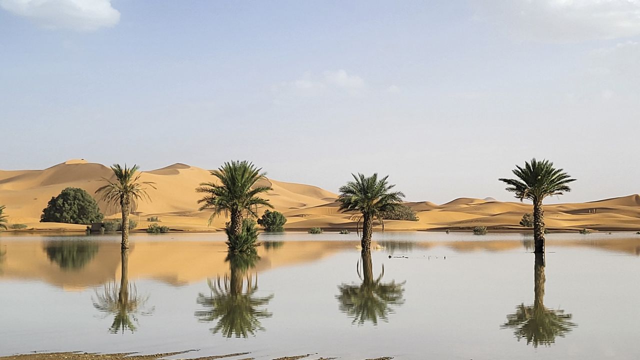 Palm trees are reflected in a lake caused by heavy rainfall in the desert town of Merzouga, near Rachidia, southeastern Morocco, Wednesday, Oct. 2, 2024.  (AP Photo)