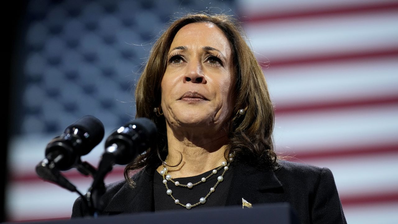 Vice President Kamala Harris speaks during a campaign rally at Erie Insurance Arena, in Erie, Pennsylvania, on October 14.