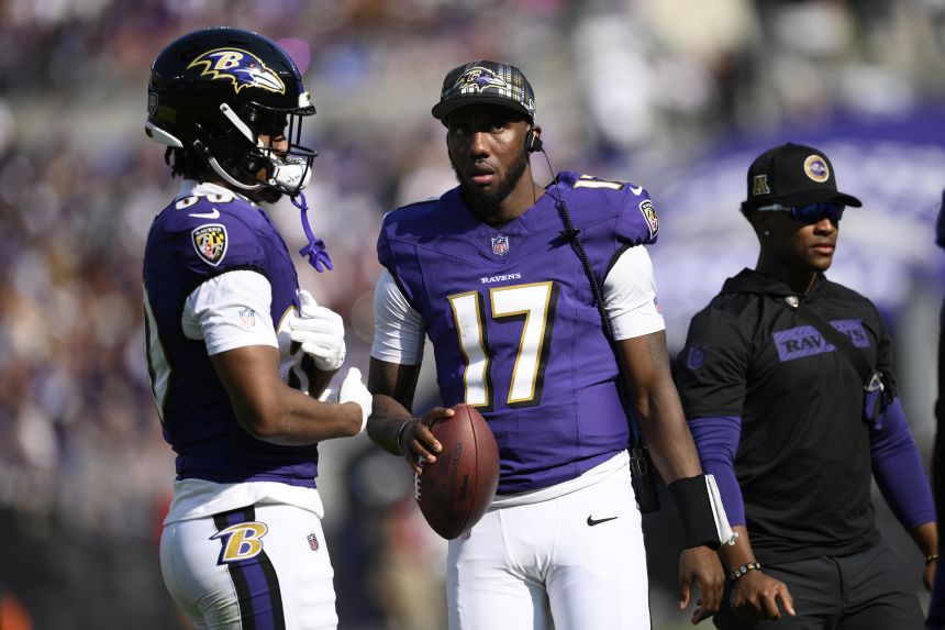 Johnson (No. 17) has been part of 14 different teams in the NFL.